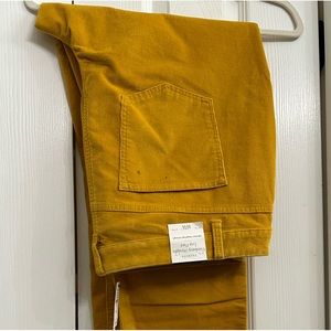 Talbots corduroy pants